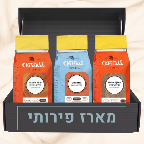 טקסט הפסקה שלך (13)