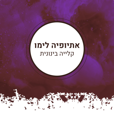 לימו ב כהה