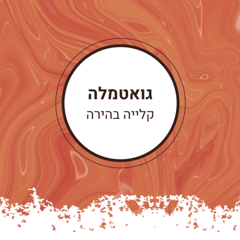 גוטמאלה קלייה בהירה